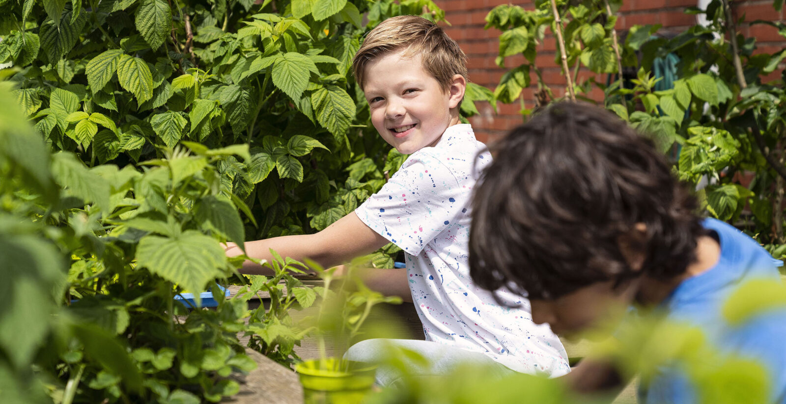 Kinderen in beeld die spelen op onze kinderopvanglocaties.